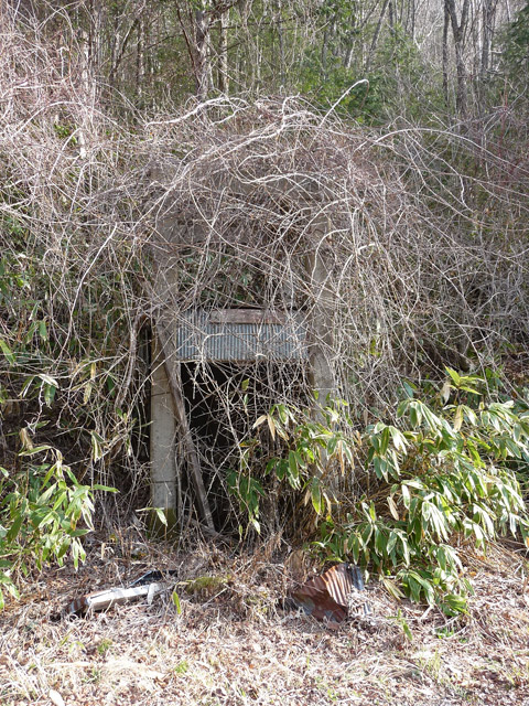 ����X�ѓS��,��m����ԏ�,�ѓS,���C�@�֎�,��������