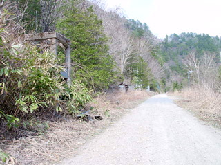 ����X�ѓS���{���u��22��詓��E�I�����v