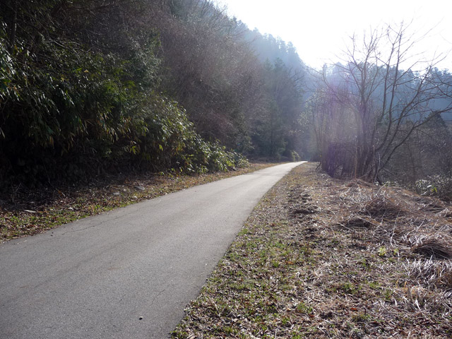 ����X�ѓS��,��m����ԏ�