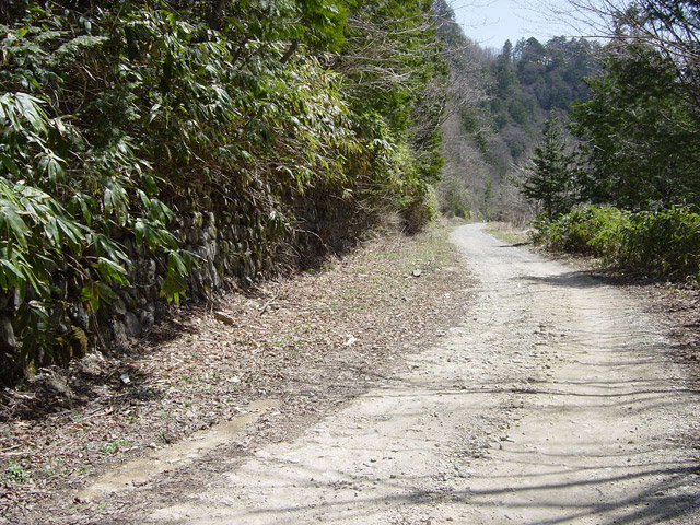 ����X�ѓS��,��m����ԏ�