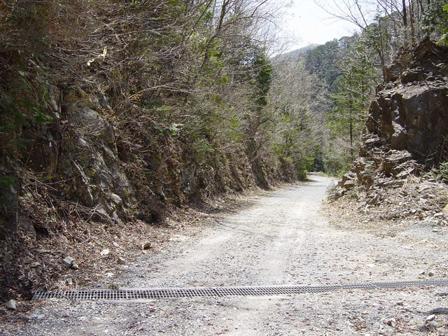 ����X�ѓS���u��m����ԏ�[���A���ԏ�v