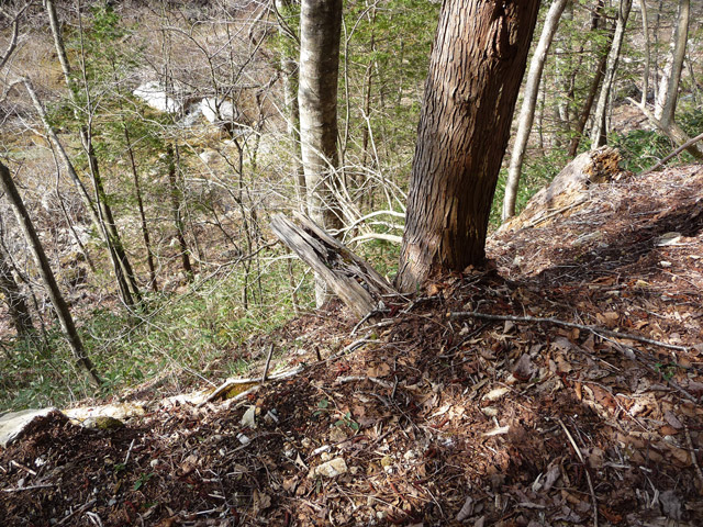 ����X�ѓS���u��m����ԏ�[���A���ԏ�v