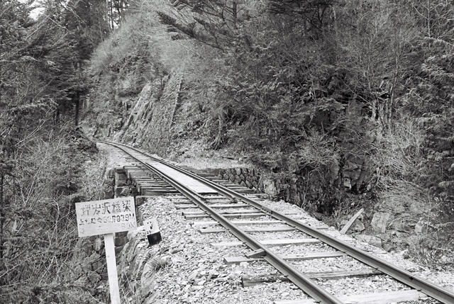 ����X�ѓS��,���o�򋴗�