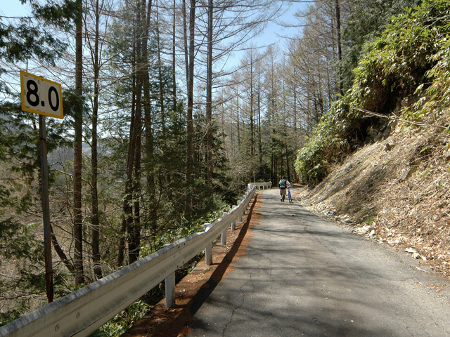 ����X�ѓS���u�T�J�T�}�J�����[����v