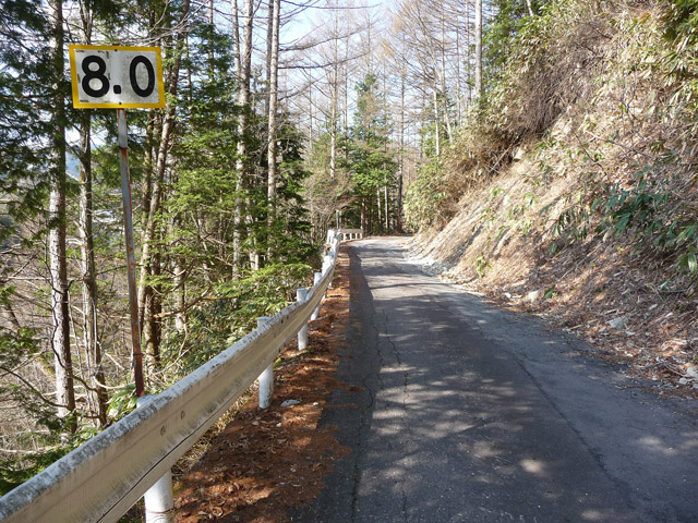 ����X�ѓS���u�T�J�T�}�J�����[����v