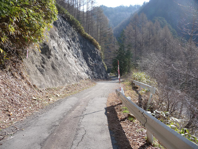 ����X�ѓS���u�T�J�T�}�J�����[����v