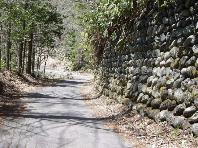 ����X�ѓS���u�T�J�T�}�J�����[����v