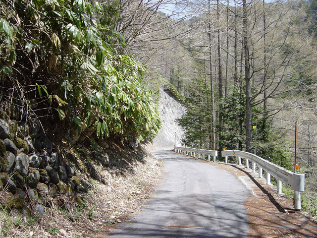 ����X�ѓS���u�T�J�T�}�J�����[����v