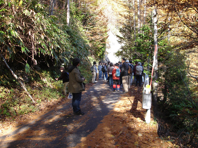 ����X�ѓS���u�T�J�T�}�J�����[����v