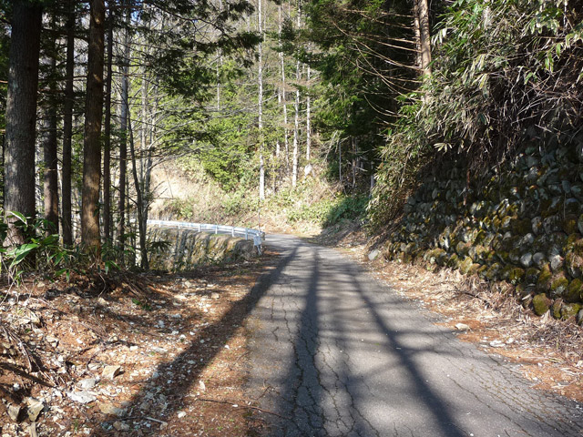 ����X�ѓS���u�T�J�T�}�J�����[����v