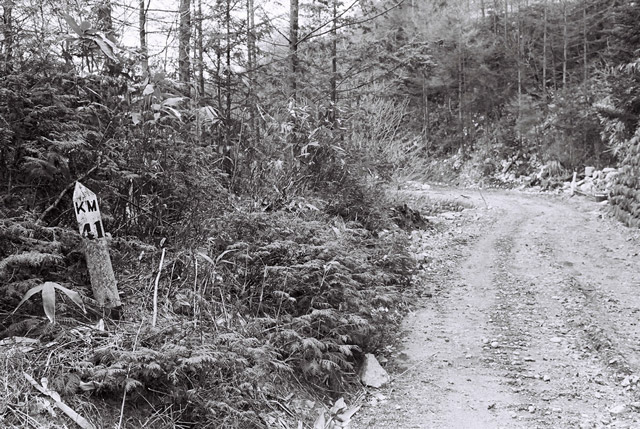 ����X�ѓS���u�T�J�T�}�J�����[����v