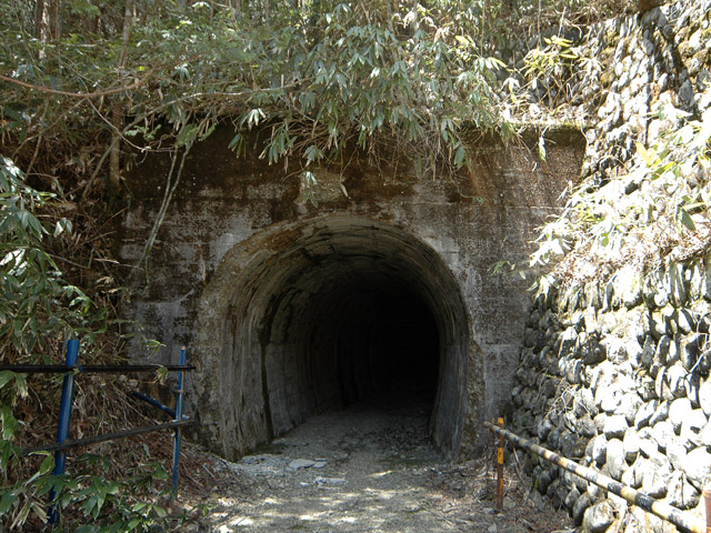 ����X�ѓS��,�p����,��25��詓�,�g���l��