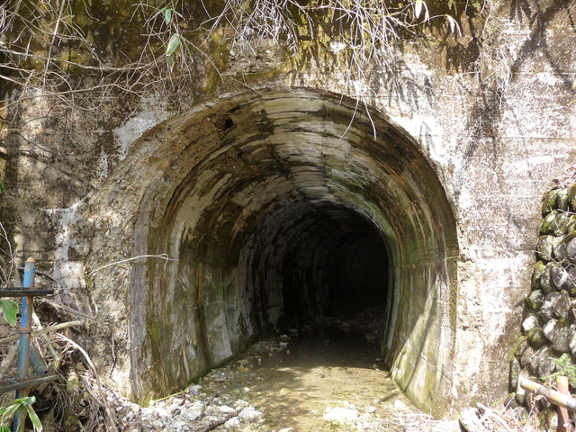 ����X�ѓS��,�p����,��25��詓�,�g���l��