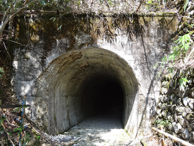 ����X�ѓS��,�p����,��25��詓�,�g���l��