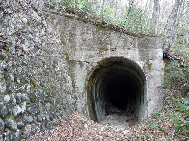 ����X�ѓS��,�p����,��25��詓�,�p�g���l��,�O�Y�����r