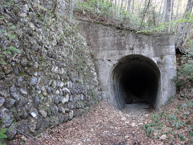 ����X�ѓS��,�p����,��25��詓�,�p�g���l��,�O�Y�����r