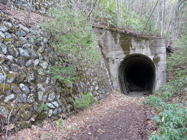 ����X�ѓS��,�p����,��25��詓�,�p�g���l��,�O�Y�����r