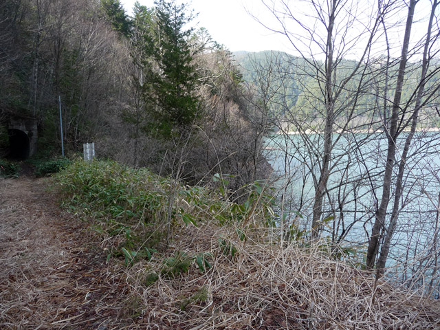 ����X�ѓS��,�p����,��25��詓�,�p�g���l��,�O�Y�����r