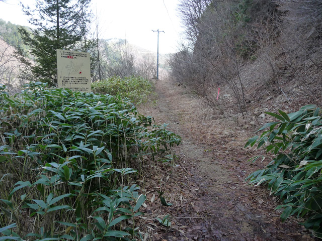 ����X�ѓS��,�ѓS,�p����,����,�O�Y�����r,�O�Y�_����,�ؑ]�X