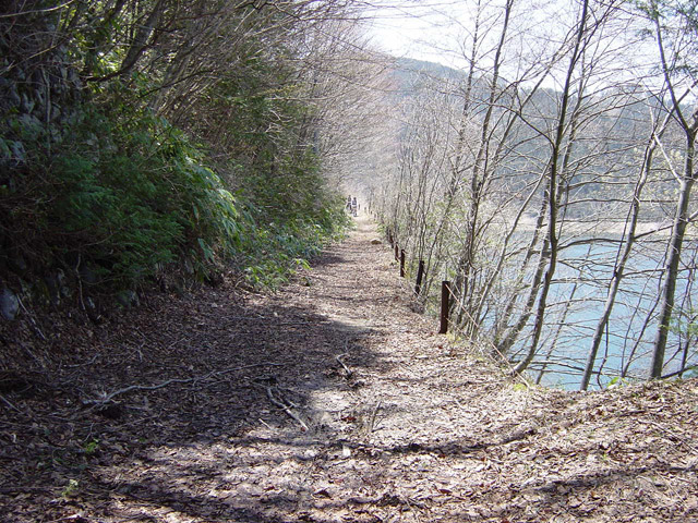 ����X�ѓS��,�p����,�ѓS,�i��,�K����