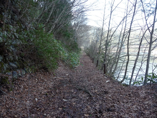 ����X�ѓS��,�p����,�ѓS,�i��,�K����