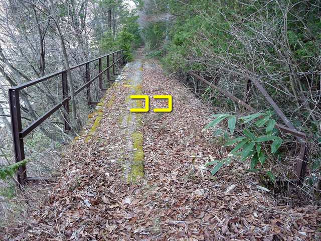 ����X�ѓS��,�p����,�ѓS,����