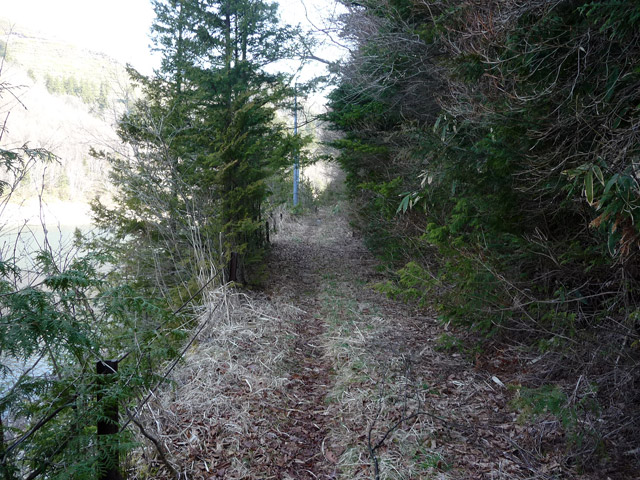 ����X�ѓS��,�p����,�ѓS,����