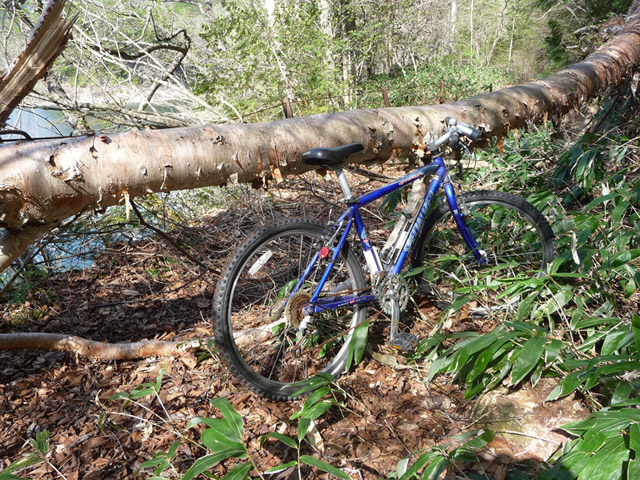 ����X�ѓS��,�p����,�ѓS,�|��,�ؑ]�X