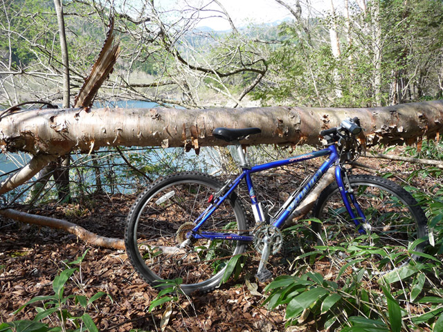 ����X�ѓS��,�p����,�ѓS,�|��,�ؑ]�X,��ԎR