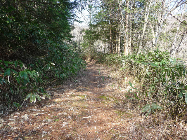 ����X�ѓS��,�p����,�ѓS,����