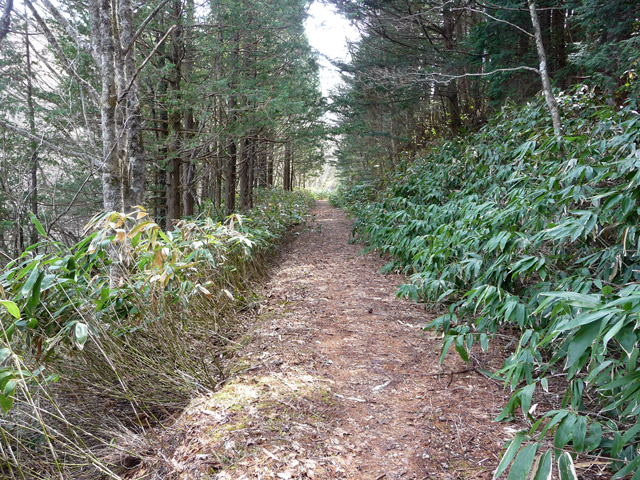 ����X�ѓS��,�p����,�ѓS,����