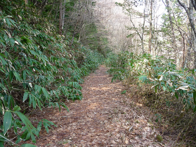 ����X�ѓS��,�p����,�ѓS,����