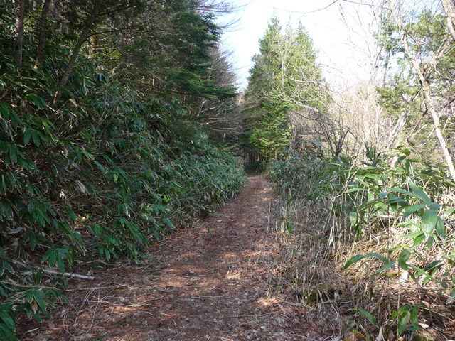 ����X�ѓS��,�p����,�ѓS,����