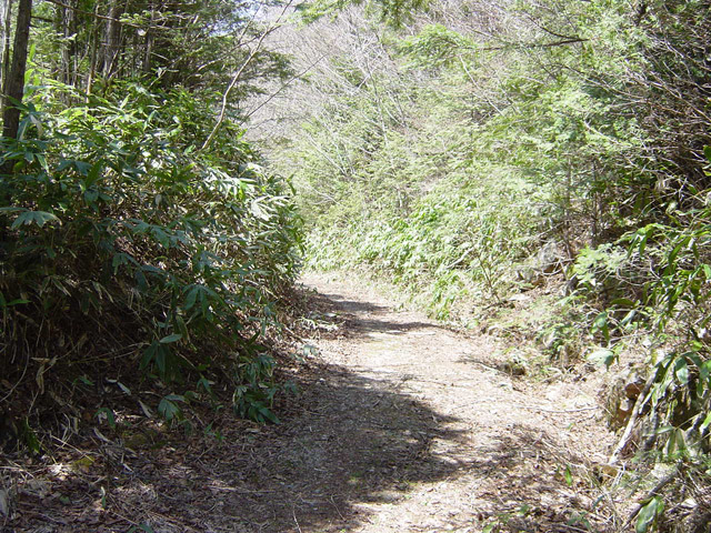 ����X�ѓS��,�ѓS,�p����,�����J����,����