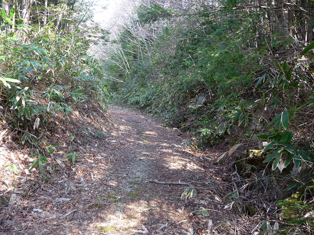 ����X�ѓS��,�ѓS,�p����,�ؑ]�X