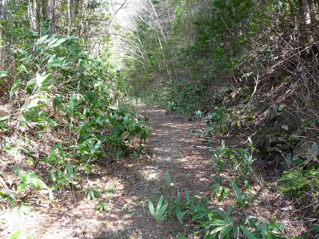 ����X�ѓS��,�ѓS,�p����,�ؑ]�X