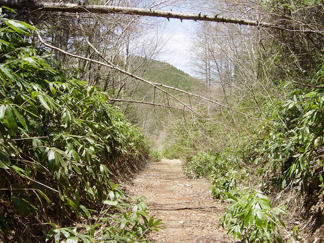 ����X�ѓS��,�ѓS,�p����,�ؑ]�X,�y�Y��ԏ�