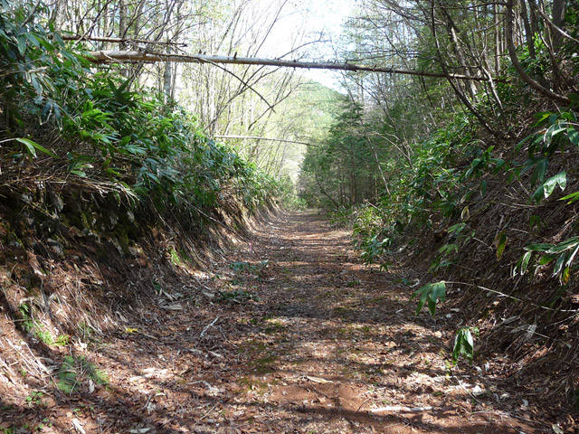 ����X�ѓS��,�ѓS,�p����,�ؑ]�X,�y�Y��ԏ�