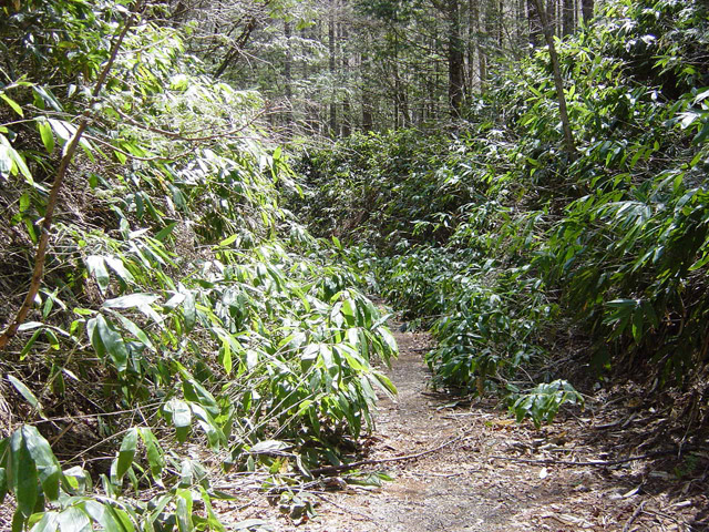 ����X�ѓS��,�ѓS,�p����,�ؑ]�X,�y�Y��ԏ�