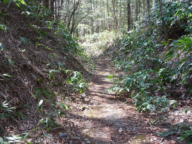 ����X�ѓS��,�ѓS,�p����,�ؑ]�X,�y�Y��ԏ�