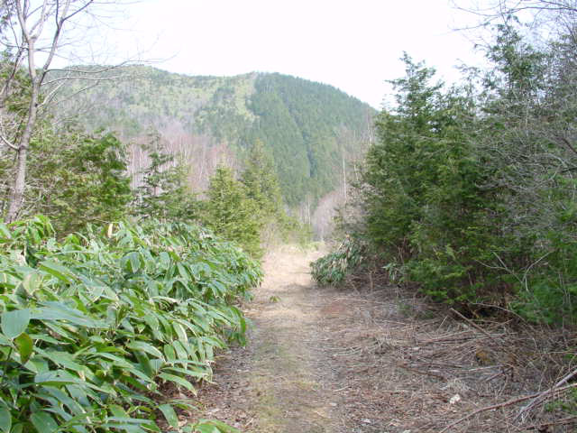 ����X�ѓS��,�p����,�ѓS,�y�Y��ԏ�,�O�Y�Δ�,�ؑ]�X