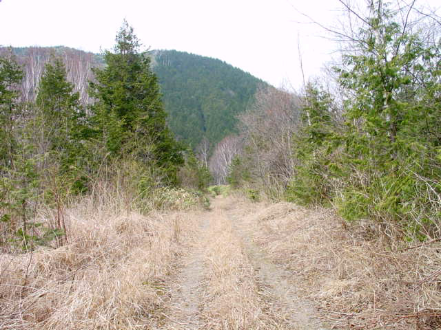 ����X�ѓS��,�p����,�ѓS,�y�Y��ԏ�,�O�Y�Δ�,�ؑ]�X