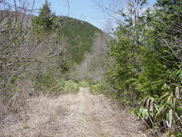 ����X�ѓS��,�p����,�ѓS,�y�Y��ԏ�,�O�Y�Δ�,�ؑ]�X