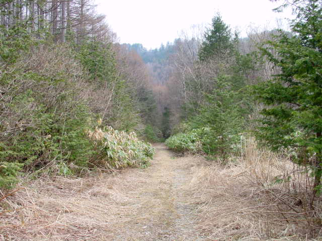 ����X�ѓS��,�p����,�ѓS,�y�Y��ԏ�,�O�Y�Δ�,�ؑ]�X