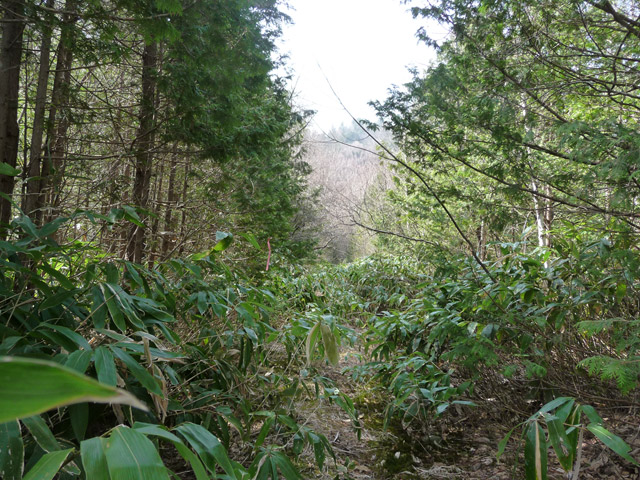 ����X�ѓS��,�p����,�ѓS,�y�Y��ԏ�,�ؑ]�X