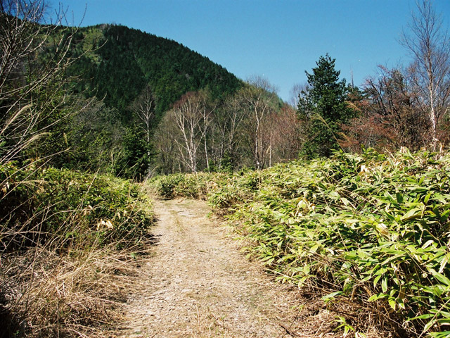 ����X�ѓS��,�p����,�ѓS,�y�Y��ԏ�,�ؑ]�X