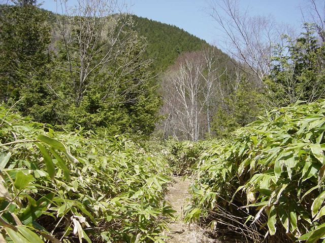 ����X�ѓS��,�p����,�ѓS,�y�Y��ԏ�,�ؑ]�X