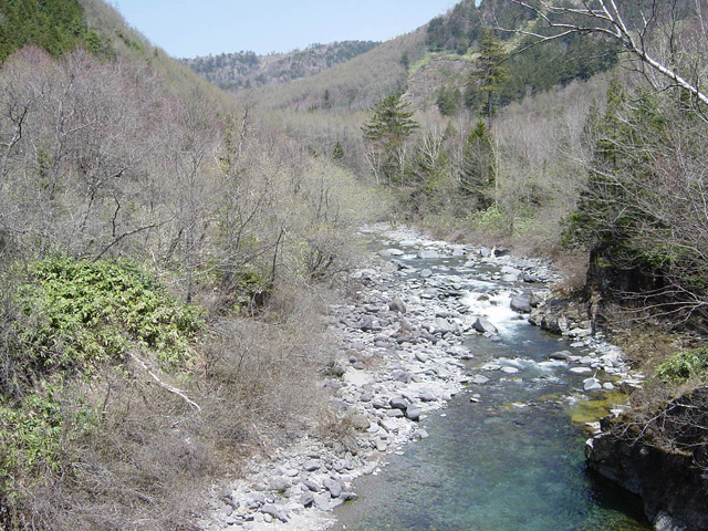 ����X�ѓS��,�p����,�ѓS,�y�Y�{�J����,�y�Y��