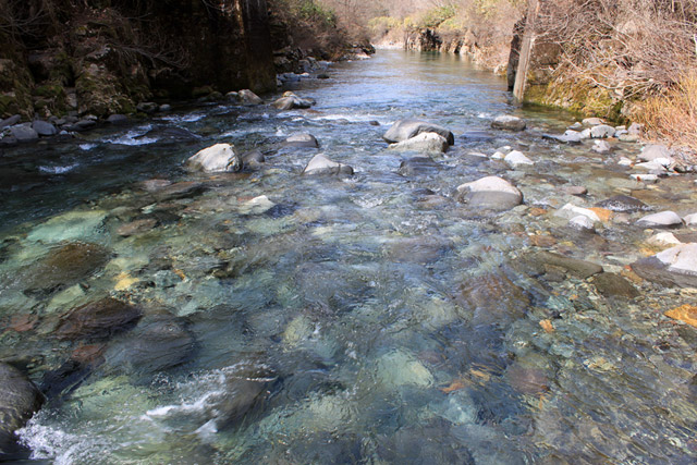 ����X�ѓS��,�p����,�ѓS,�y�Y��,�O�Y�����r,�O�Y�_����