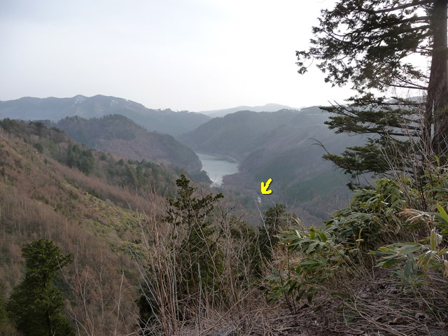 ����X�ѓS��,�p����,�ѓS,�y�Y�{�J����,�y�Y��,�ѓ�